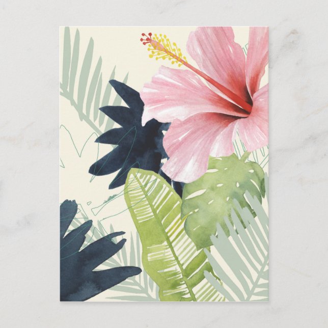 Carte Postale Collection Tropical Punch (Devant)