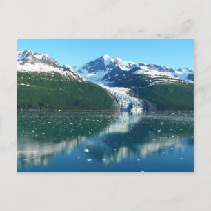 Carte Postale College Fjord I Photographie de l'Alaska Belle
