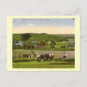 Carte Postale College Meadow, Amherst Massachusetts 1912 Vintage