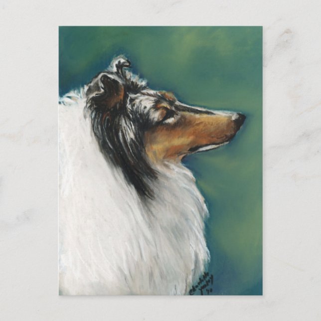 Carte postale "Collie" (Devant)