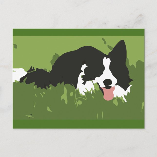 Carte postale Collie Dog (Devant)