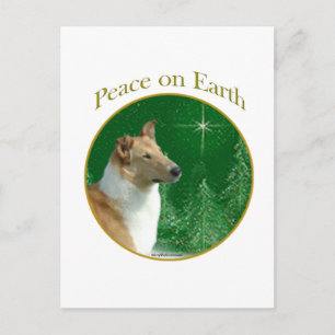 Carte Postale Collie Paix sur Terre