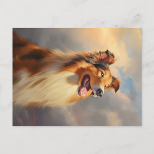 Carte Postale Collie rugueuse / Collie écossais