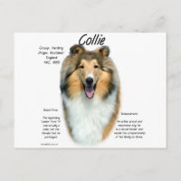 Collie (sable brut) Historique Conception