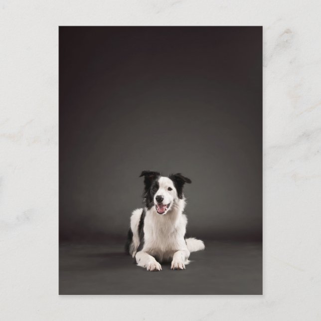 Carte Postale Collier frontalier (Devant)
