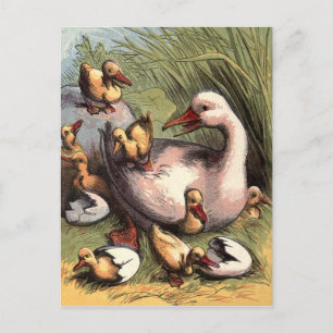 Carte Postale Colliers Juste Hatché Image Vintage