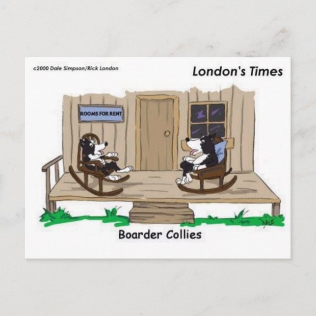 Carte Postale Collies frontalières à la retraite Drôle Offbeat D (Devant)