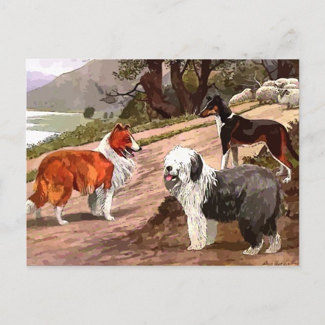 Carte postale Collies peintes vintages (Devant)