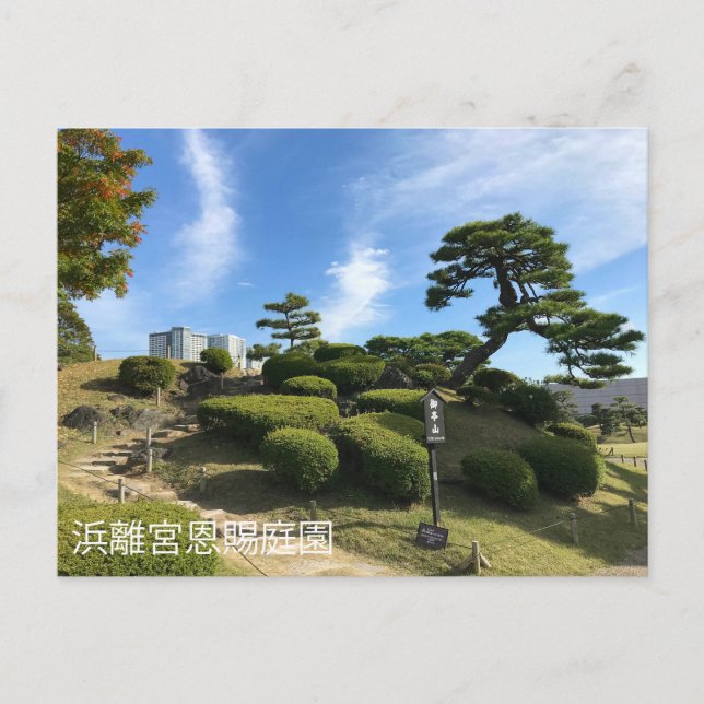 Carte Postale Colline du jardin japonais (Devant)