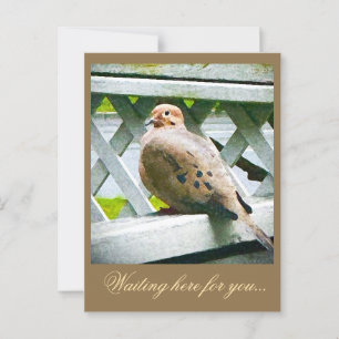 CARTE POSTALE "COLOMBE"