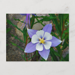 Carte Postale Colonne bleue