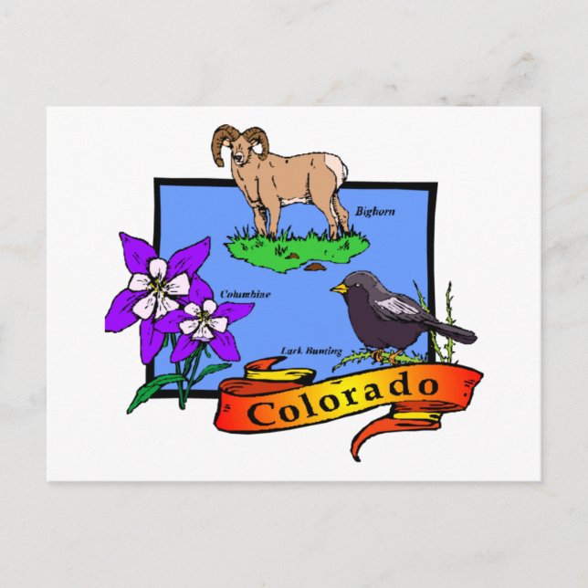 Carte Postale Colorado (Devant)