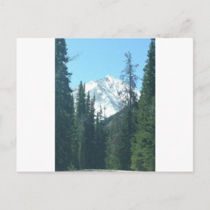 CARTE POSTALE COLORADO