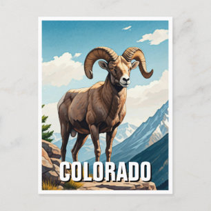 Carte Postale Colorado Bighorn moutons voyage souvenir