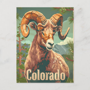 Carte Postale Colorado Bighorn Sheep Vintage