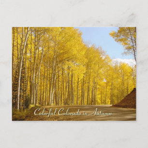 Carte Postale Colorado coloré en automne