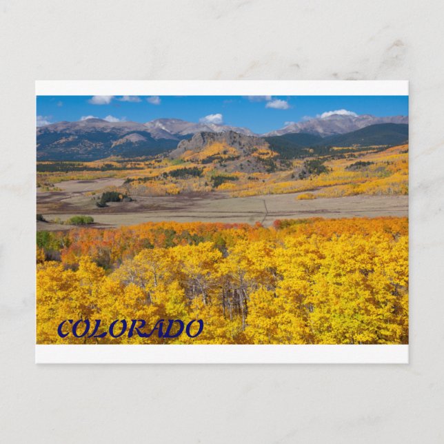 Carte Postale Colorado Pittoresque Foliage (Devant)