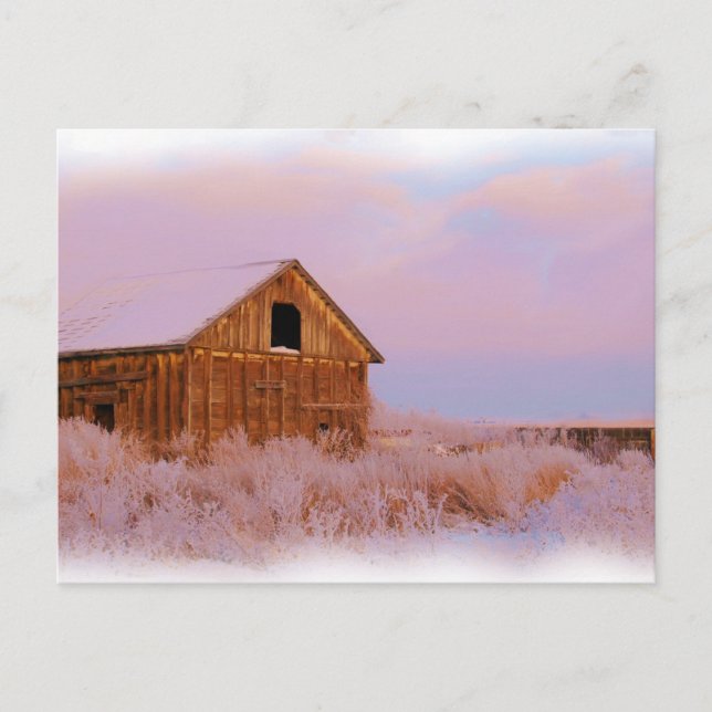 CARTE POSTALE COLORADO SHED (Devant)