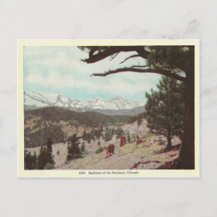 Carte Postale Colorado vintage