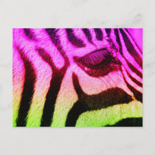 Carte Postale Coloré Funky Zebra
