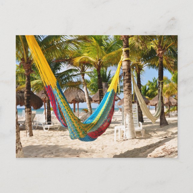 Carte postale colorée Mayan Hammock Cozumel Mexico (Devant)