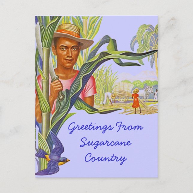 CARTE POSTALE COLORÉE PROMO VOYAGE SUGARCANE HARVE (Devant)