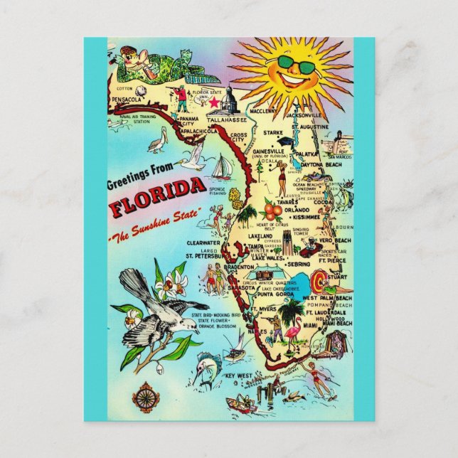 Carte postale colorée Retro Florida (Devant)