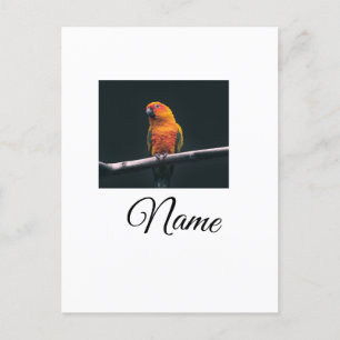 Carte Postale Colorful animal add name photo custom throw