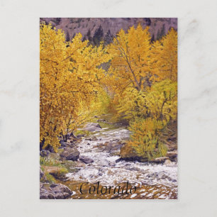 Carte Postale Colorful Automne Aspen Trees à Morrison Colorado