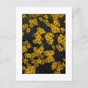 Carte Postale " Colorie-moi en jaune "
