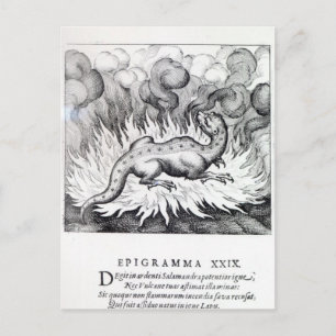 Carte Postale Comme la Salamandre vit dans le feu