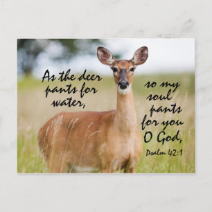 Carte Postale Comme le pantalon de cerf pour l'eau, Bible Psaume