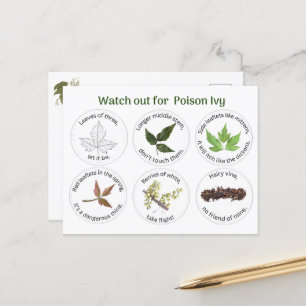 Carte Postale Comment identifier l'ivoire de poison