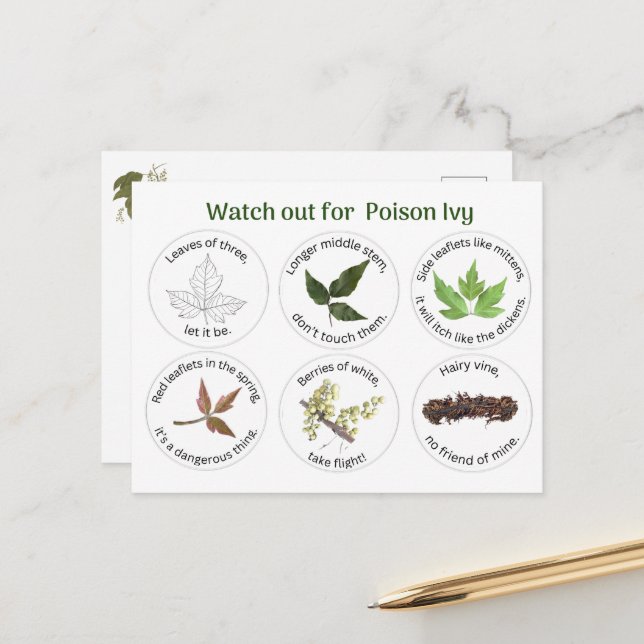 Carte Postale Comment identifier l'ivoire de poison (Devant/Arrière en situation)