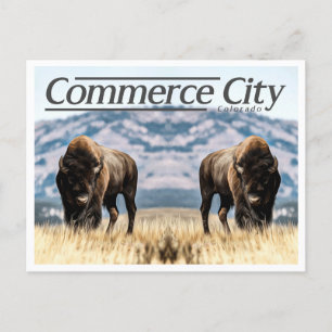 CARTE POSTALE COMMERCE CITY COLORADO