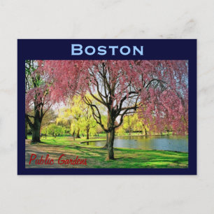 Carte postale commune de Boston - Customisée