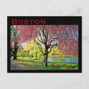 Carte postale commune de Boston - Customisée
