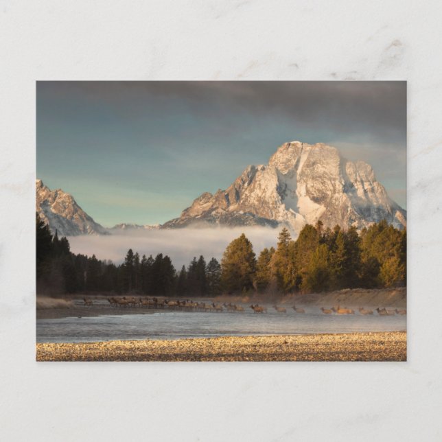 Carte Postale Commute du matin (Devant)