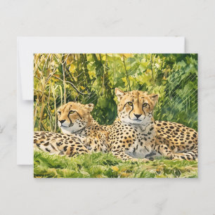 Carte Postale Compagnons Guépards – Reposant dans la Nature