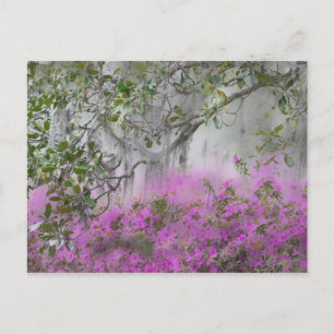 Carte Postale Composite numérique d'azalées et d'arbre magnolia