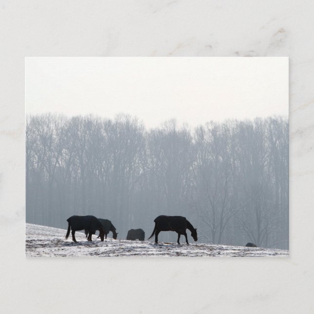 Carte Postale Comté de Chester, Pa (Devant)