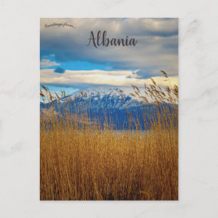 Carte Postale Comté de Pogradec Korçë Albanie