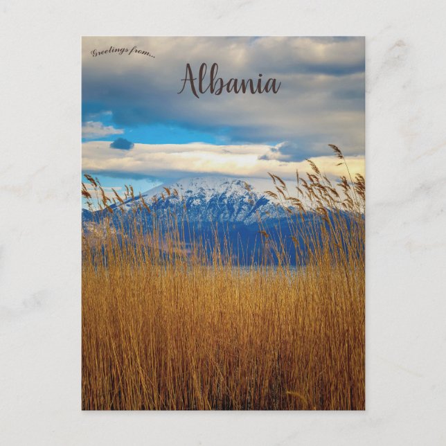 Carte Postale Comté de Pogradec Korçë Albanie (Devant)