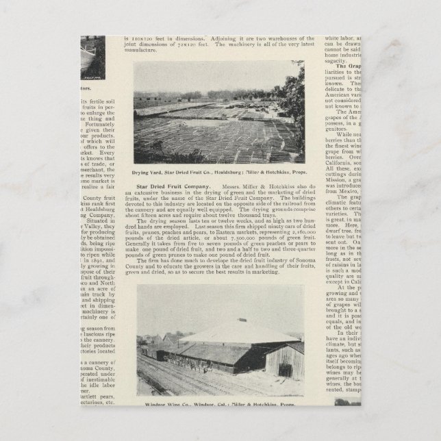 Carte Postale Comté de Sonoma, Californie (Devant)