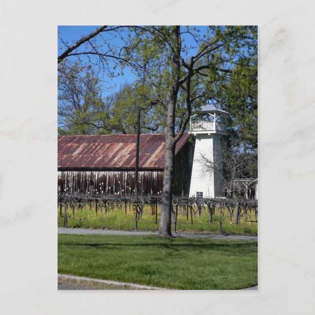 Carte Postale Comté de Sonoma, Californie (Devant)