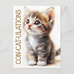 Carte Postale Con-Cat-Ulations, Chat, Chaton, Minou, Félicitatio