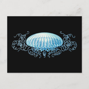 Carte Postale Conception de la méduse Haeckel