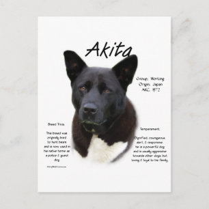 Carte Postale Conception de l'histoire Akita noire