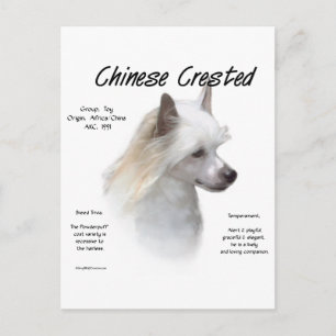 Carte Postale Conception de l'histoire de la crête chinoise (pou