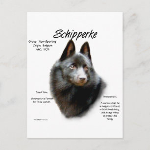 Carte Postale Conception de l'historique de Schipperke
